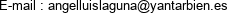 E-mail : angelluislaguna@yantarbien.es 