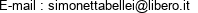 E-mail : simonettabellei@libero.it 