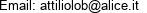 Email: attiliolob@alice.it 