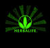 TEAM HERBA4LIFE