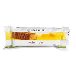 Protein Bars