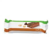 Proteinska pločica