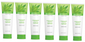 Pack of 6 Shampoo