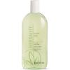 Herbal Aloe Everyday Body Wash